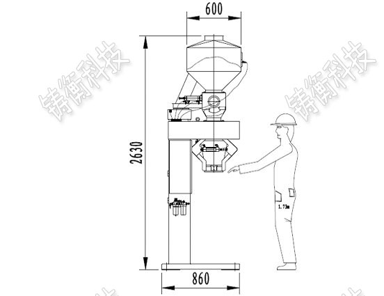 麥粒定量包裝秤